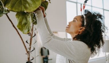 How To Practice Self-Care During the Holidays